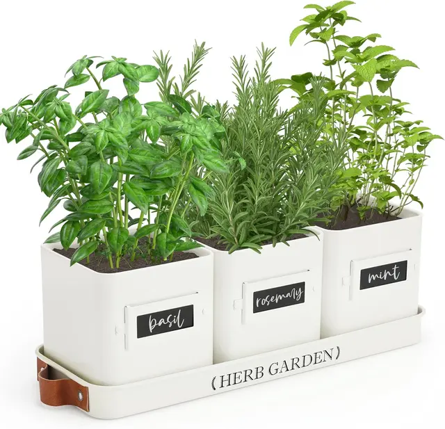 Farmhouse windowsill herb planter set
