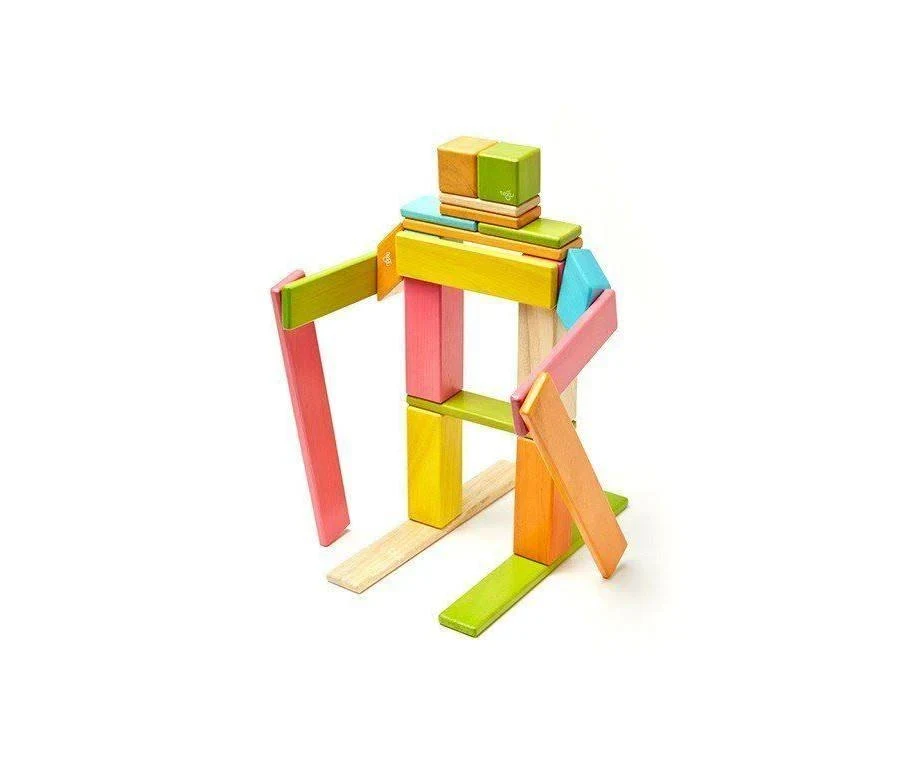 Tegu magnetic wooden block set