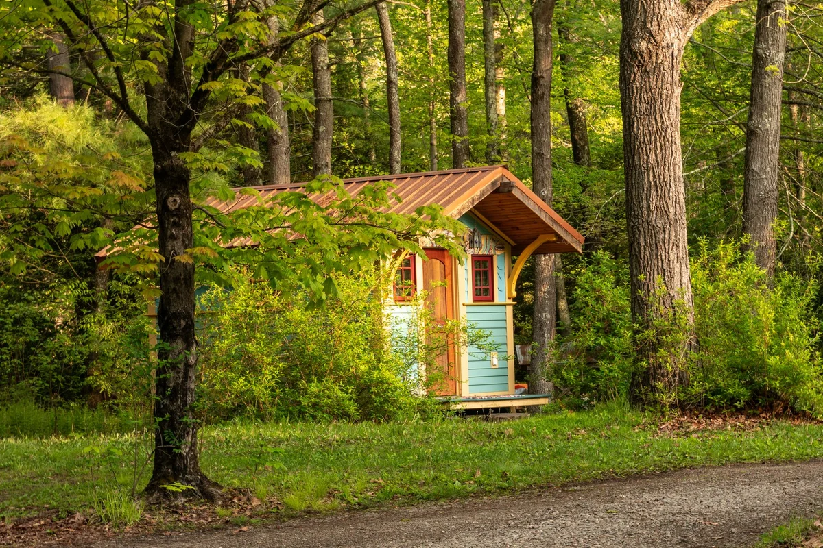 Colourful tiny cabin nestled in a lush forest setting