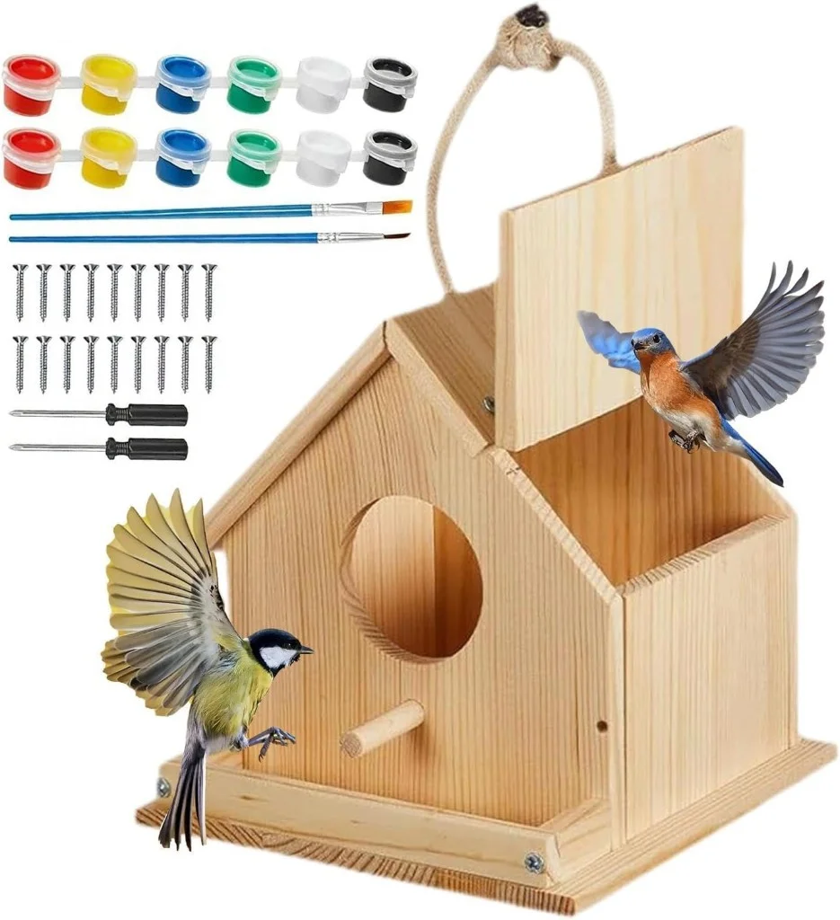 Paint-your-own birdhouse kit