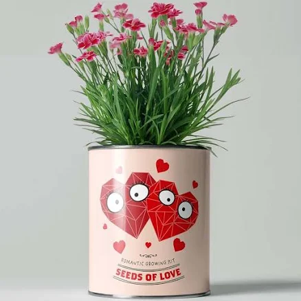 "Granddaughter’s Garden" Bulb Kit (Plant together) — Mother's Day gift for a grandmother, shoppable idea