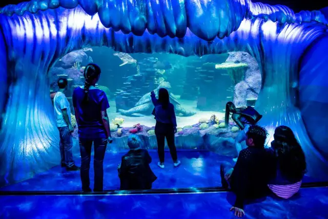 Zoo or aquarium annual membership for grandparent days