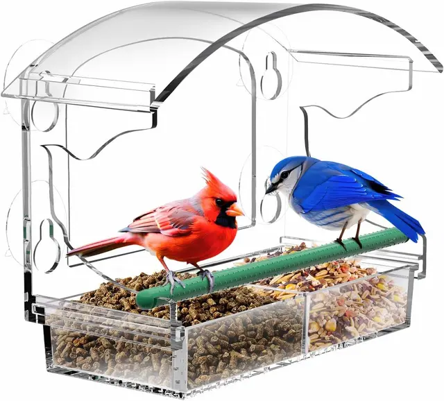 Window Bird Feeder