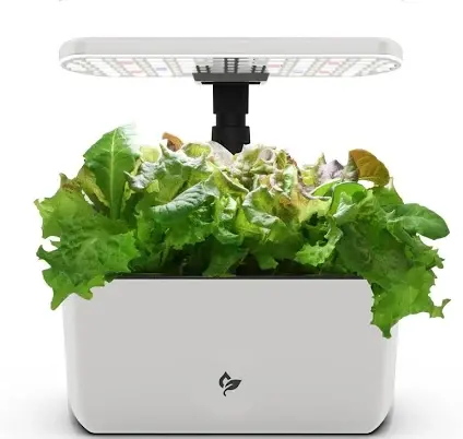 Smart indoor herb garden for the kitchen counter