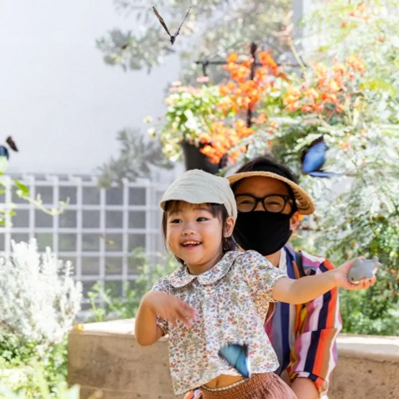 Butterfly pavilion visit