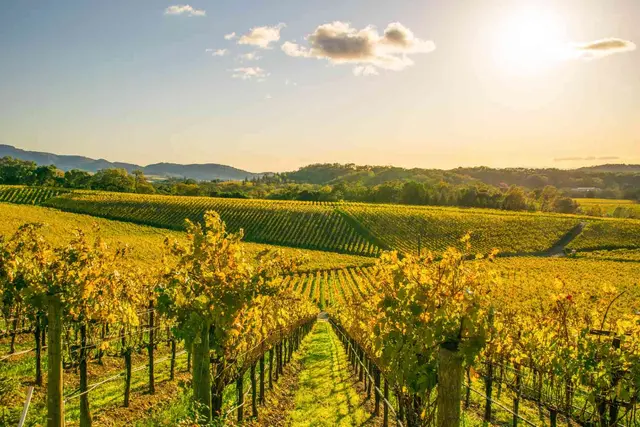 Wine-region weekend in Napa-adjacent, Willamette, or Finger Lakes country (bookable type)