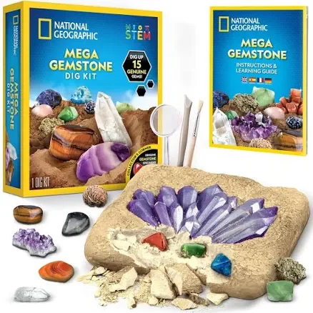 National Geographic fossil dig kit
