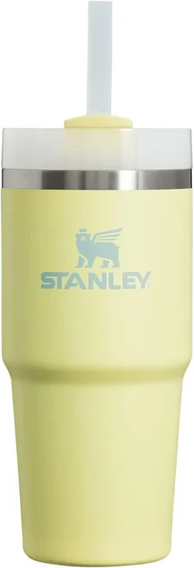 The IceFlow Flip Straw Tumbler 2.0 20 oz