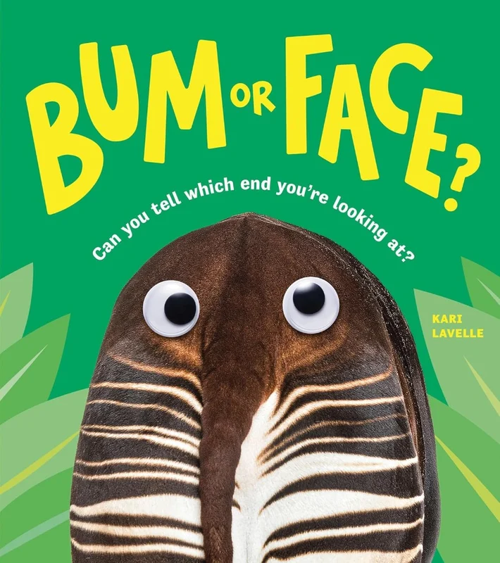 Bum or Face picture book cover by Kari Lavelle
