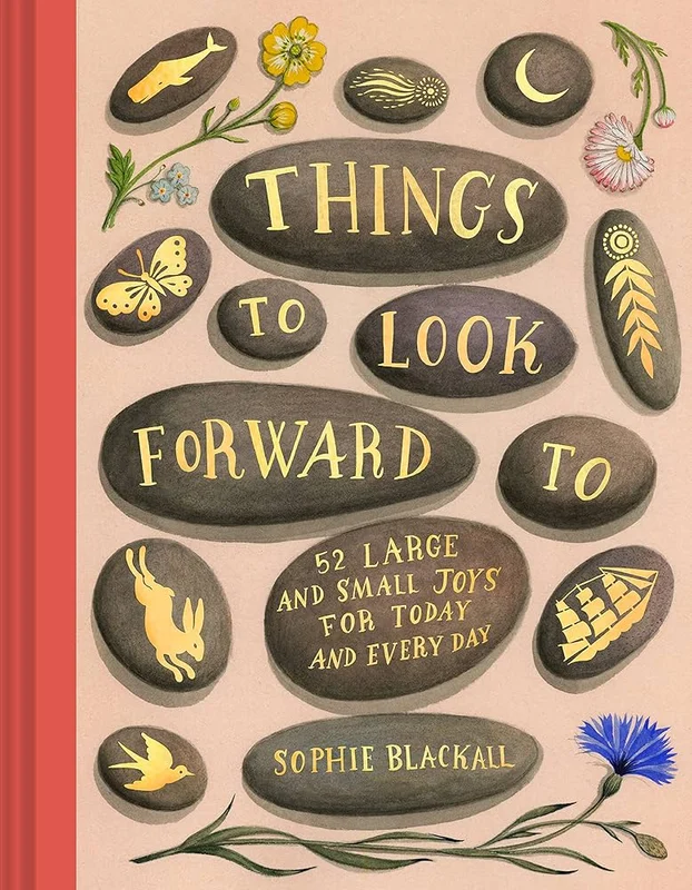 Things to Look Forward To hardcover