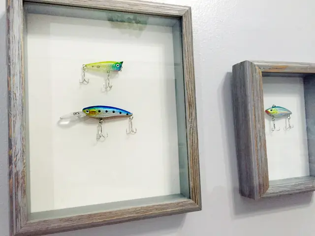 Fishing lure shadow box art