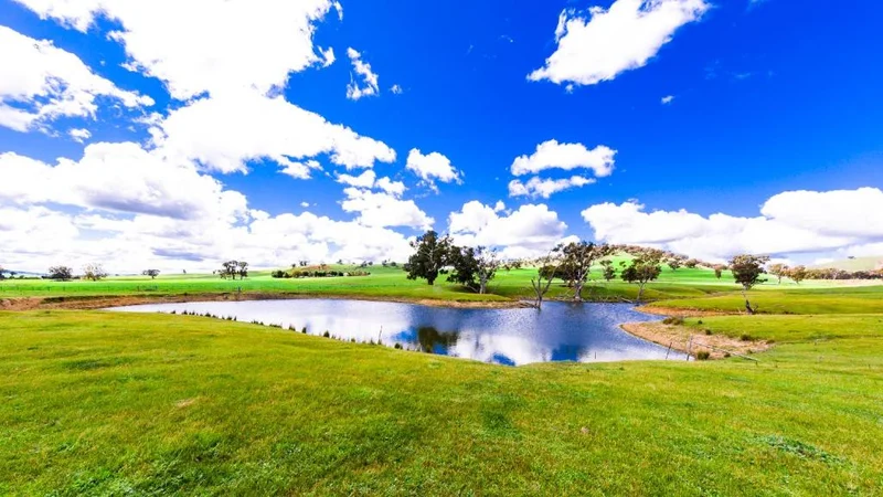Australian farm countryside with dam gum trees and blue sky