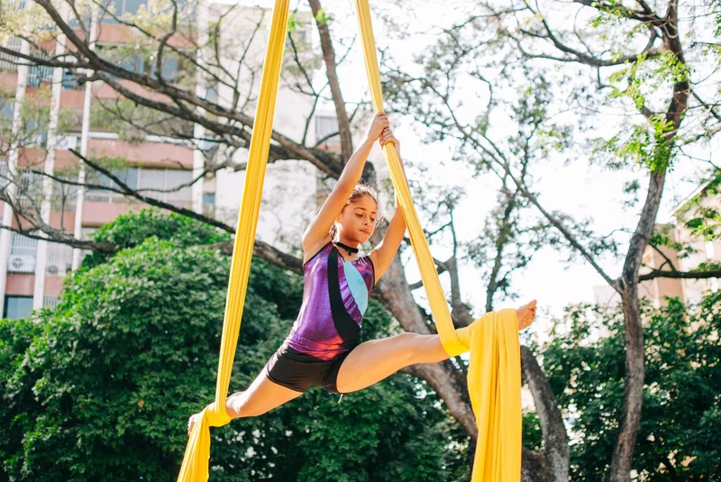Aerial Gymnastics Class Pass