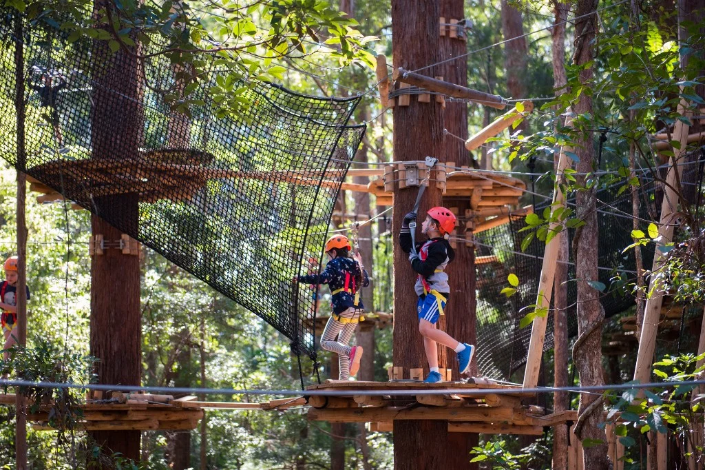 Treetops Adventure Junior course