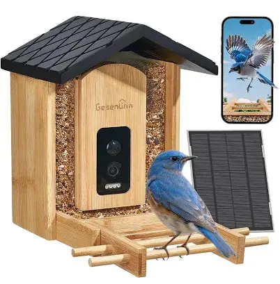Smart bird feeder with camera for shared nature watching