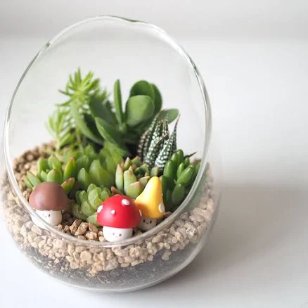 Glass Mushroom Self-Watering Terrarium