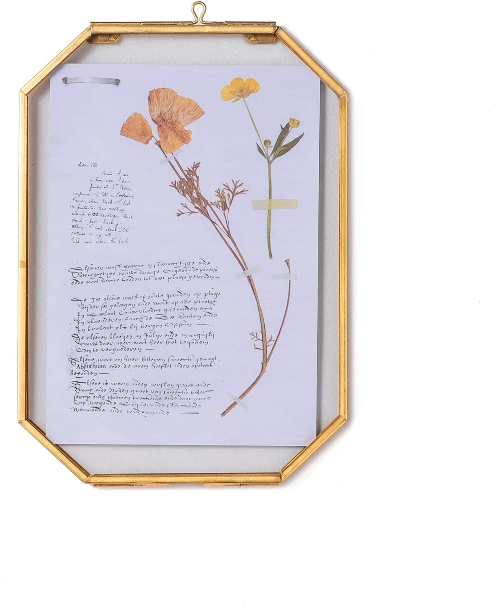 Brass Herbarium Floating Frame