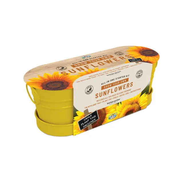 Mr Fothergill's sunflower windowsill tin grow kit