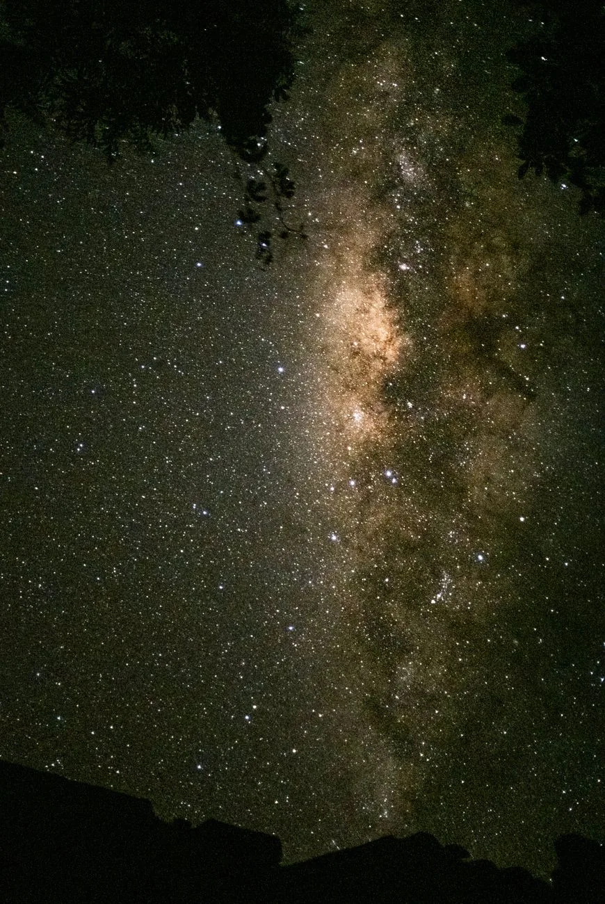 Night sky milky way for a stargazing tour