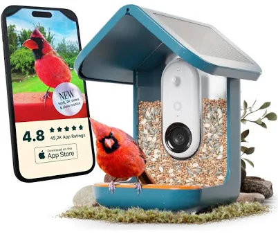 Bird Buddy smart feeder camera